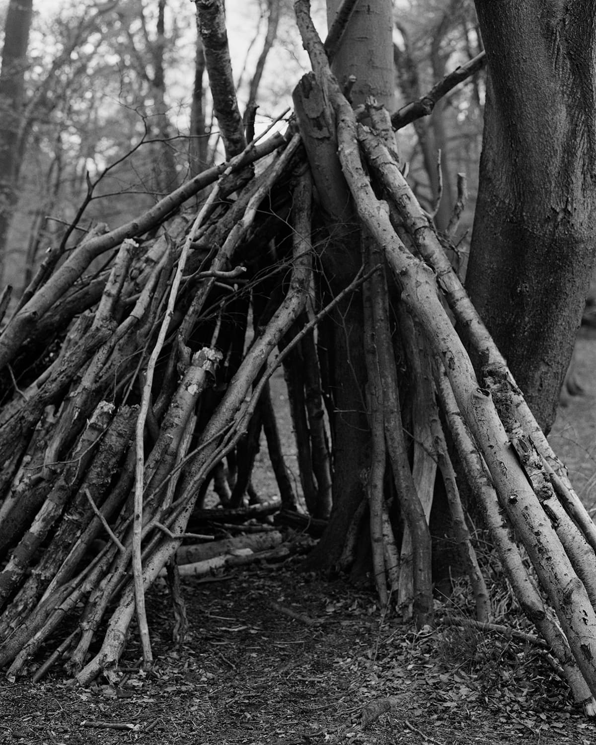 아디다스 오리지널스 x Wings+Horns FW16 컬렉션 8